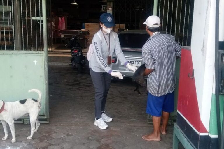 Kasus Gigitan Anjing Capai 700 per Bulan, Buleleng Kekurangan Tenaga Dokter Hewan