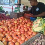 Sepekan Jelang Idul Adha, Harga Tomat dan Jeruk Nipis di Lhokseumawe Melonjak Drastis