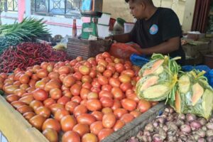 Sepekan Jelang Idul Adha, Harga Tomat dan Jeruk Nipis di Lhokseumawe Melonjak Drastis
