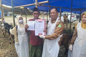 DKPP Sumenep Perketat Pengawasan Hewan Kurban dengan 47 Tenaga Medis dan Paramedis