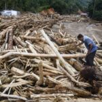 Dari Pengecekan Rutin ke Temuan Besar: 238 Batang Kayu Ilegal Terbongkar di Sumatera Utara