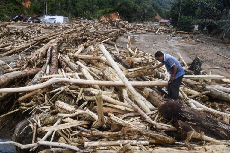 Dari Pengecekan Rutin ke Temuan Besar: 238 Batang Kayu Ilegal Terbongkar di Sumatera Utara