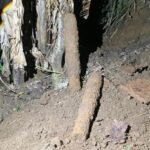 2 Mortir PD II Ditemukan Warga saat Menggarap Lahan di Jayapura, Polisi Segera Amankan