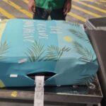 Dua Warga Rusia Diamankan BNN di Bali, 7,8 Kilogram Hashish Disita dari Koper Asal Thailand
