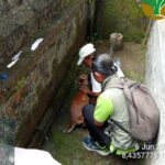 BKSDA Bali Evakuasi Kijang Terluka dari Halaman Rumah Warga