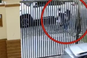 Kronologi Percobaan Penculikan di PIK: Kakek 70 Tahun Melawan hingga Terbanting, Pelaku Kabur