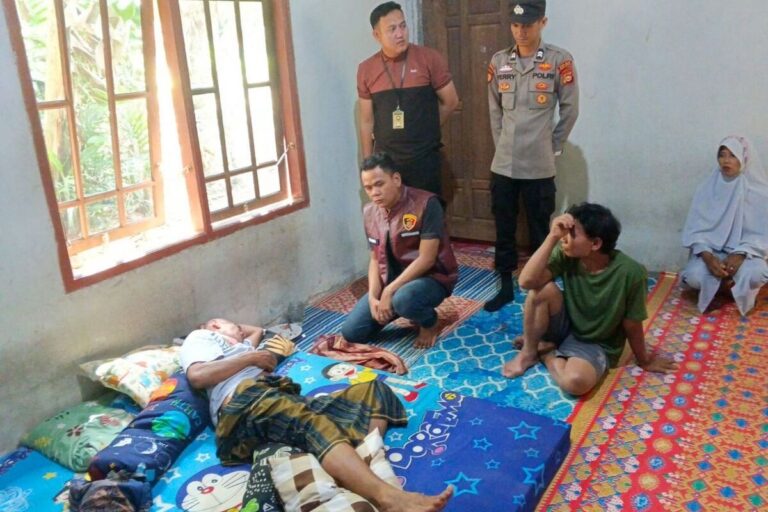 Beruang Kembali Serang Petani di Musi Rawas, Polisi Imbau Warga Tingkatkan Kewaspadaan