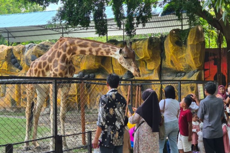 DPR RI Minta Pemkot Surabaya Evaluasi Total KBS dan Pertimbangkan Penutupan Sementara