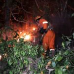Kebakaran Hutan Rakyat di Ponorogo Padam Setelah 11 Jam Perjuangan Warga dan Petugas