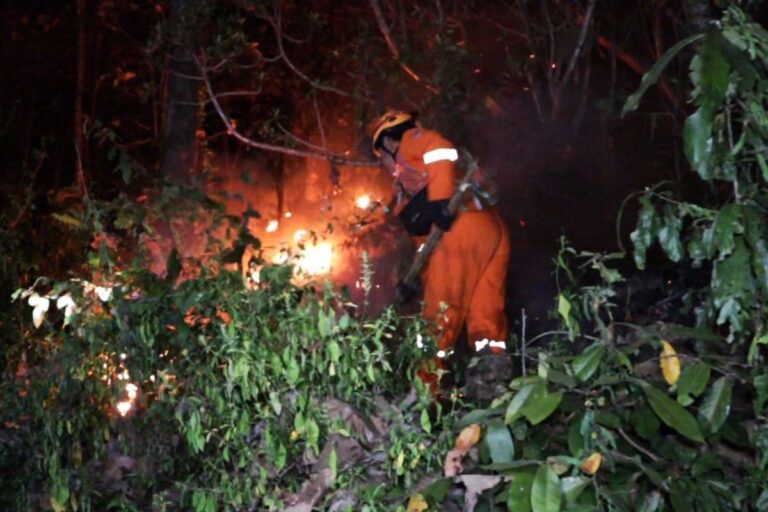Kebakaran Hutan Rakyat di Ponorogo Padam Setelah 11 Jam Perjuangan Warga dan Petugas