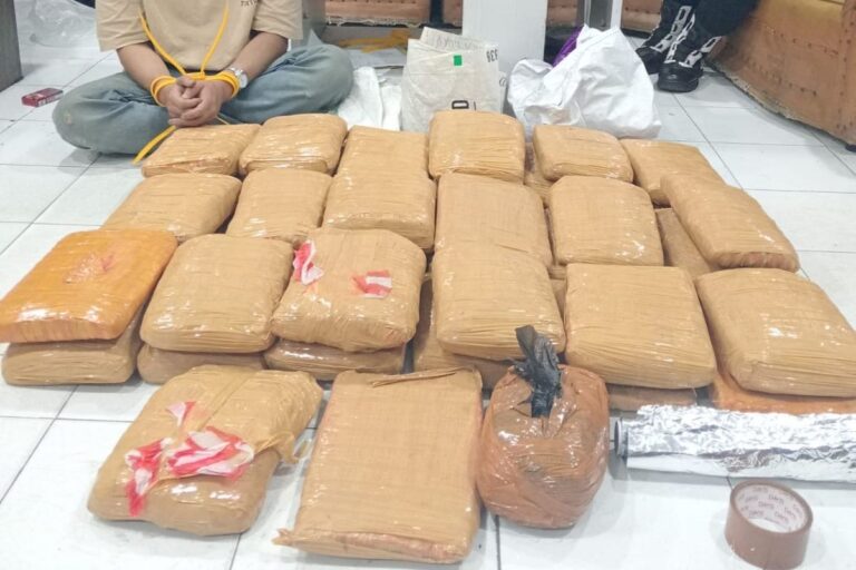 Polresta Bukittinggi Gagalkan Pengiriman 41 Paket Ganja ke Bandung via Ekspedisi