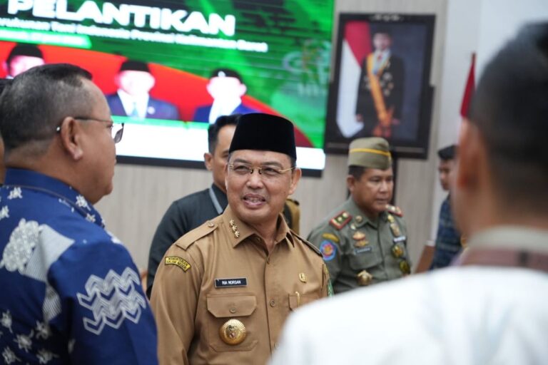 Ria Norsan: Pemadaman Berkepanjangan Ganggu Warga, PLN Harus Cepat Bertindak
