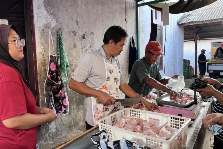 Harga Ayam di Pasar Padaherang Kembali Melonjak Seiring Aktifnya Program MBG