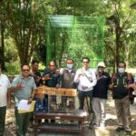 Penggagalan Penyelundupan di Pelabuhan Gilimanuk, 124 Burung Kicau Dilepasliarkan