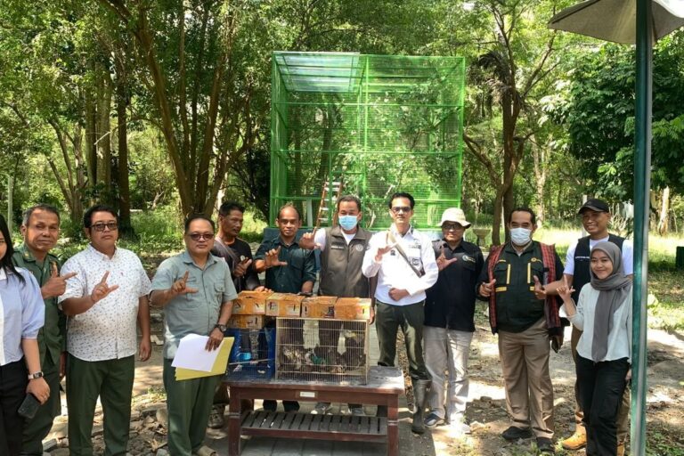 Penggagalan Penyelundupan di Pelabuhan Gilimanuk, 124 Burung Kicau Dilepasliarkan