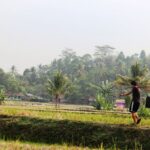 Musim Kemarau Panjang, Warga Cianjur Terpaksa Menguras Tabungan untuk Air Bersih