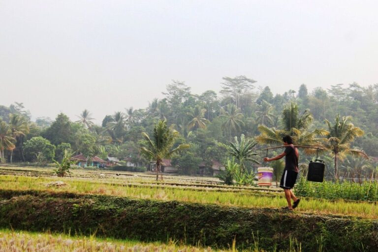 Musim Kemarau Panjang, Warga Cianjur Terpaksa Menguras Tabungan untuk Air Bersih