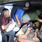 Rentetan Serangan Harimau Sumatera di Riau: Dua Pekerja Tewas, Satu Luka Parah