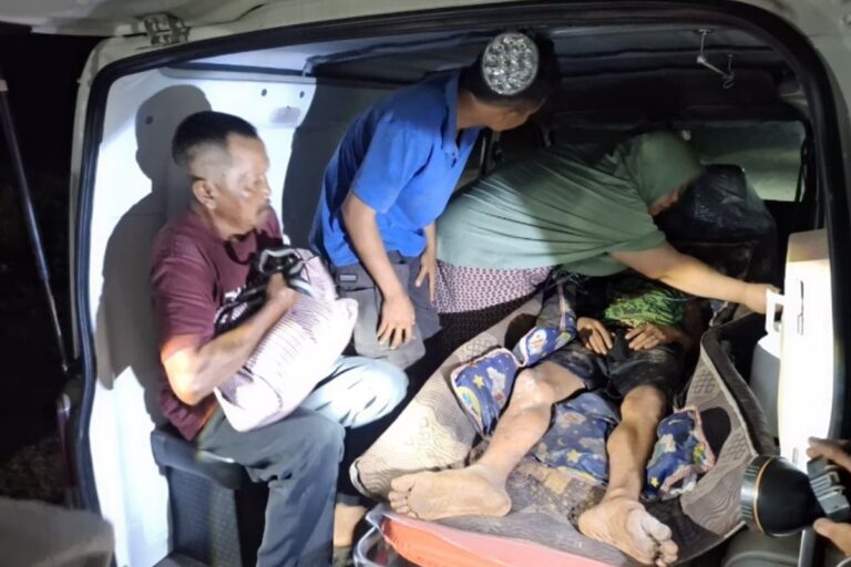 Rentetan Serangan Harimau Sumatera di Riau: Dua Pekerja Tewas, Satu Luka Parah