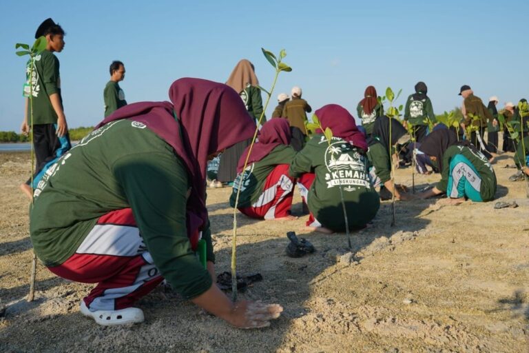 2.500 Mangrove Ditanam di Pesisir Sumenep, Anak-Anak Ikut Andil Jaga Garis Pantai