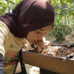 Nikmati Sensasi Madu dari Sarangnya, Wisata Kampung Adat Kuta Cuma Modal Rp5.000