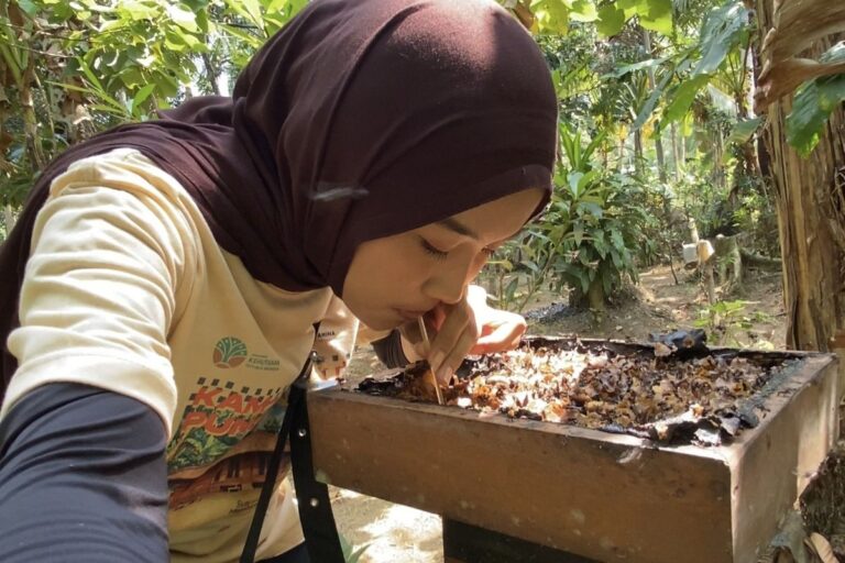 Nikmati Sensasi Madu dari Sarangnya, Wisata Kampung Adat Kuta Cuma Modal Rp5.000