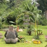 Humas Ragunan Pastikan Layanan Tetap Buka Saat 17 Agustus, Tutup Sehari Setelahnya