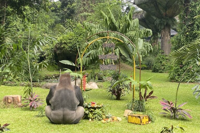 Humas Ragunan Pastikan Layanan Tetap Buka Saat 17 Agustus, Tutup Sehari Setelahnya