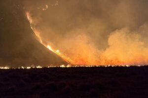 500 Hektare Ludes Terbakar, Aktivitas Wisata Bromo Dihentikan Sementa