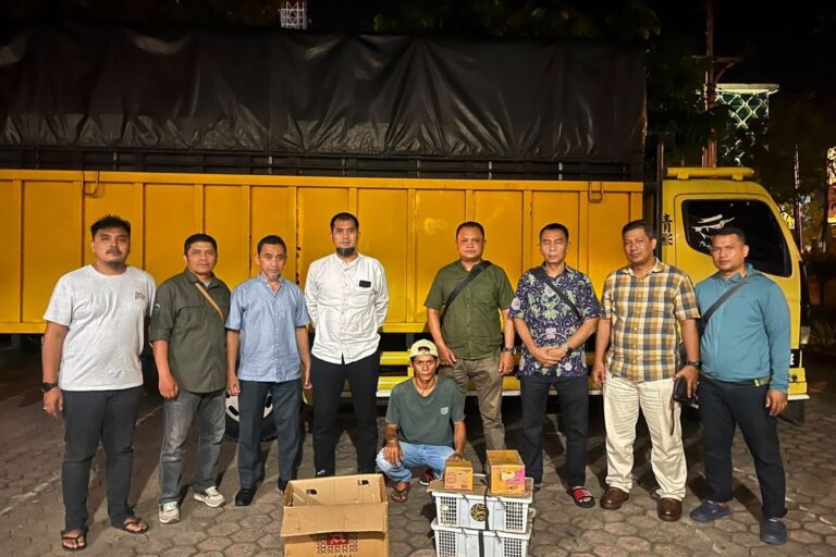 Polisi Gagalkan Penyelundupan 25 Beo Mentawai dari Siberut, Sopir Truk Ditangkap di Padang
