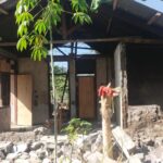 Data Korban Gempa Flores Kembali Bertambah: 55 Meninggal, Manggarai Paling Banyak