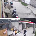 Bocah 9 Tahun di Bandung Jadi Korban Gigitan Pitbull, Kini Dirawat Intensif di Rumah Sakit
