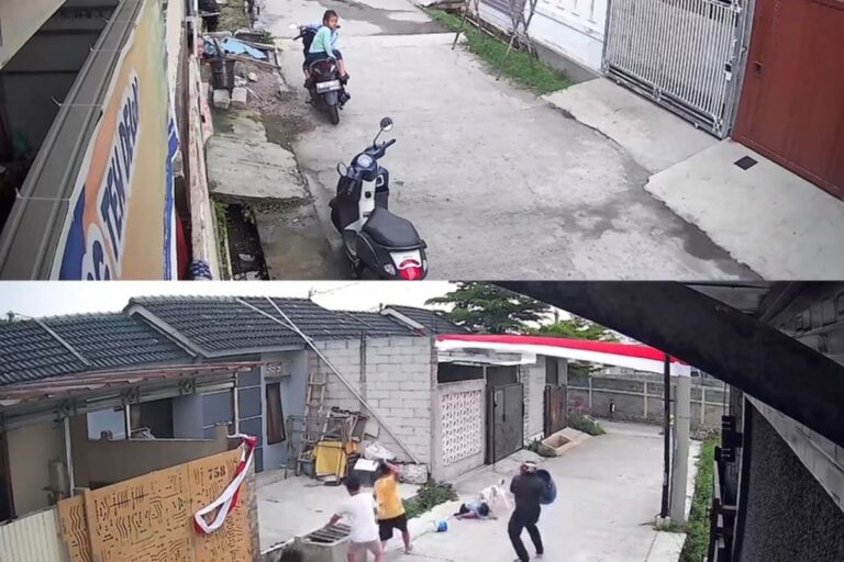 Bocah 9 Tahun di Bandung Jadi Korban Gigitan Pitbull, Kini Dirawat Intensif di Rumah Sakit