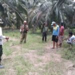BBKSDA Riau Turun Tangan Setelah Satu Warga Tewas dan Satu Terluka Akibat Gajah Liar