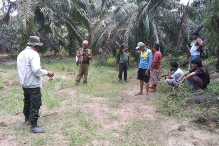 BBKSDA Riau Turun Tangan Setelah Satu Warga Tewas dan Satu Terluka Akibat Gajah Liar