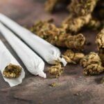 Gagalkan Peredaran 62,5 Kg Ganja di Jakarta Barat, Polisi Bongkar Rekam Jejak 5 Kali Transaksi Pelaku