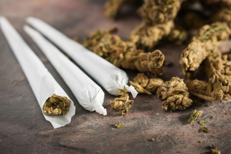 Gagalkan Peredaran 62,5 Kg Ganja di Jakarta Barat, Polisi Bongkar Rekam Jejak 5 Kali Transaksi Pelaku