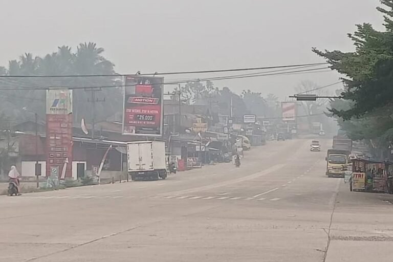 Dampak Kabut Asap di Sumbar, Aktivitas Belajar di Tiga Daerah Dihentikan Sementara