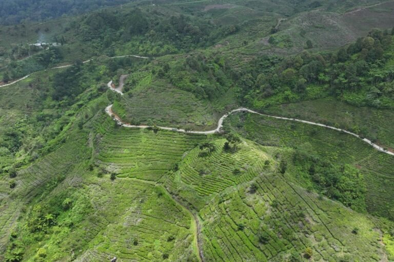 Pembangunan Jalan Strategis di Bogor Barat Terus Berlanjut, Tiga Daerah Bakal Terhubung