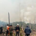 Viral di Media Sosial, Polisi Selidiki Legalitas Lahan Sawit di Bekas Karhutla Berau
