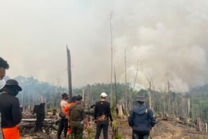 Viral di Media Sosial, Polisi Selidiki Legalitas Lahan Sawit di Bekas Karhutla Berau