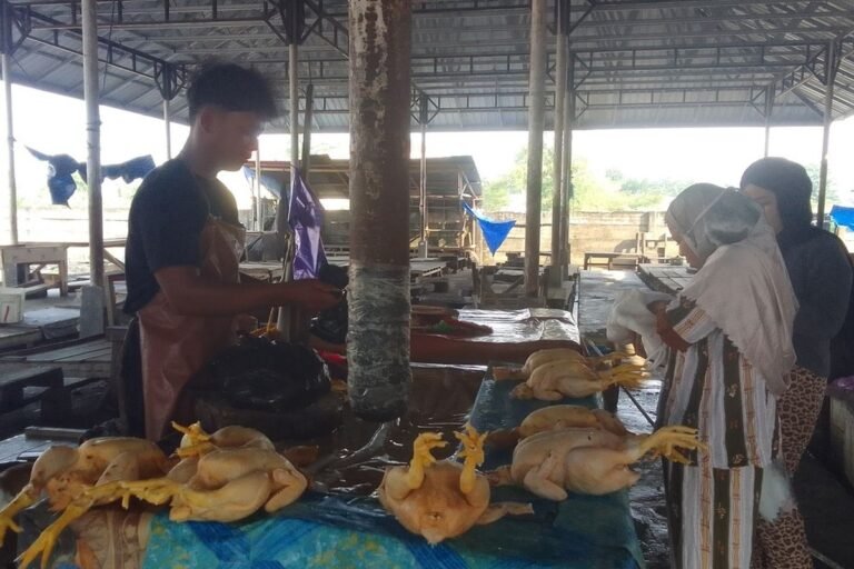 Krisis BBM Diduga Pemicu Utama, Harga Ayam Potong di Luwu Tembus Rp 80 Ribu