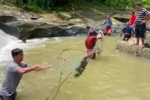 Resmi Beroperasi, Bendungan Lau Simeme Picu Panen Ikan Warga hingga Penataan Wisata Lokal
