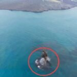 Muncul Dua Pulau Baru di Sekitar Anak Krakatau, PVMBG Imbau Warga Jauhi Radius 1 Km