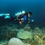Resmi! 162 Ribu Hektare Perairan di Sorong dan Tambrauw Ditetapkan Jadi Kawasan Konservasi