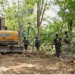 Satu Dekade Kejahatan Hutan TNBBS: 23 Perkara Terungkap, 75 Pelaku Diproses Hukum
