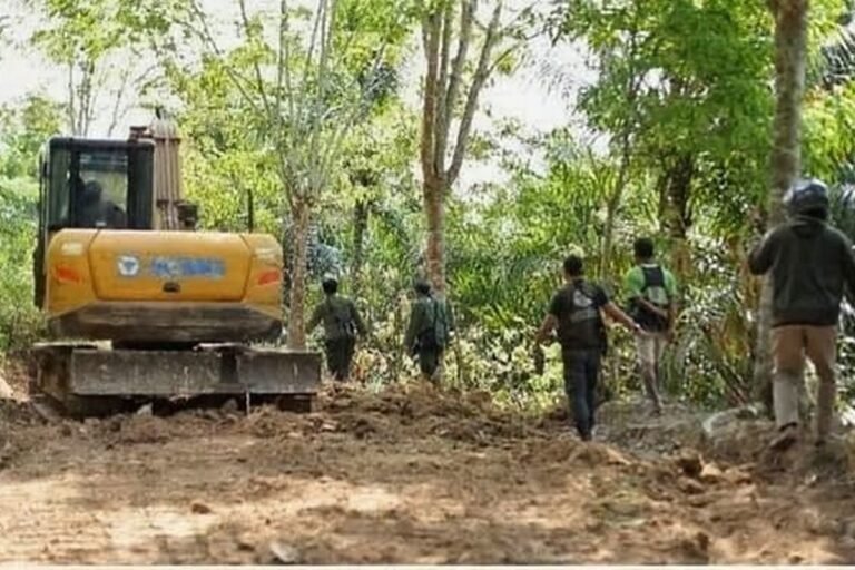 Satu Dekade Kejahatan Hutan TNBBS: 23 Perkara Terungkap, 75 Pelaku Diproses Hukum