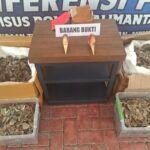 Ungkap Bisnis Gelap Satwa Dilindungi, Ditkrimsus Polda Kalsel Amankan 57 Kg Sisik Trenggiling