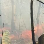 Kebakaran Lahap 4 Hektare Lahan di Perbukitan Kulon Progo, Ratusan Warga Bahu-Membahu Padamkan Api