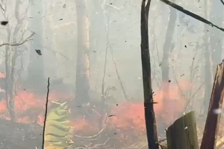Kebakaran Lahap 4 Hektare Lahan di Perbukitan Kulon Progo, Ratusan Warga Bahu-Membahu Padamkan Api